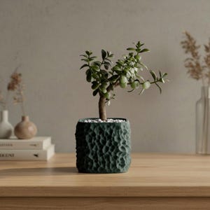 Textured Plant Pot – 3D-Printed Sculptural Planter for Indoor Plants & Succulents
