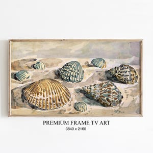 Könnte beinhalten: Aquarellmalerei verschiedener Muscheln in Braun-, Beige- und Blautönen auf sandigem Hintergrund. Das Kunstwerk ist gerahmt und enthält den Text "PREMIUM FRAME TV ART" sowie die Abmessungen 3840 x 2160.