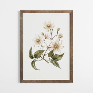 Vintage Botanical Prints Set of SIX: Neutral Floral Gallery Wall ...