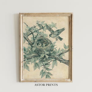 Könnte beinhalten: Ein gerahmter Vintage-Druck zeigt ein Vogelnest mit Eiern, umgeben von belaubten Ästen und mehreren Vögeln im Flug. Das Kunstwerk ist in Türkis- und Beigetönen gehalten, mit dem Text "ASTOR PRINTS" unten.