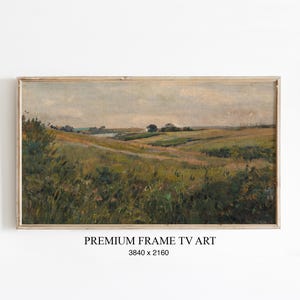 Könnte beinhalten: Gerahmtes Landschaftsgemälde mit einem Feld aus grünem und gelbem Gras unter einem bewölkten Himmel. Das Kunstwerk hat eine Vintage-Ästhetik mit einem Holzrahmen. Der Text "PREMIUM FRAME TV ART" und die Abmessungen sind sichtbar.