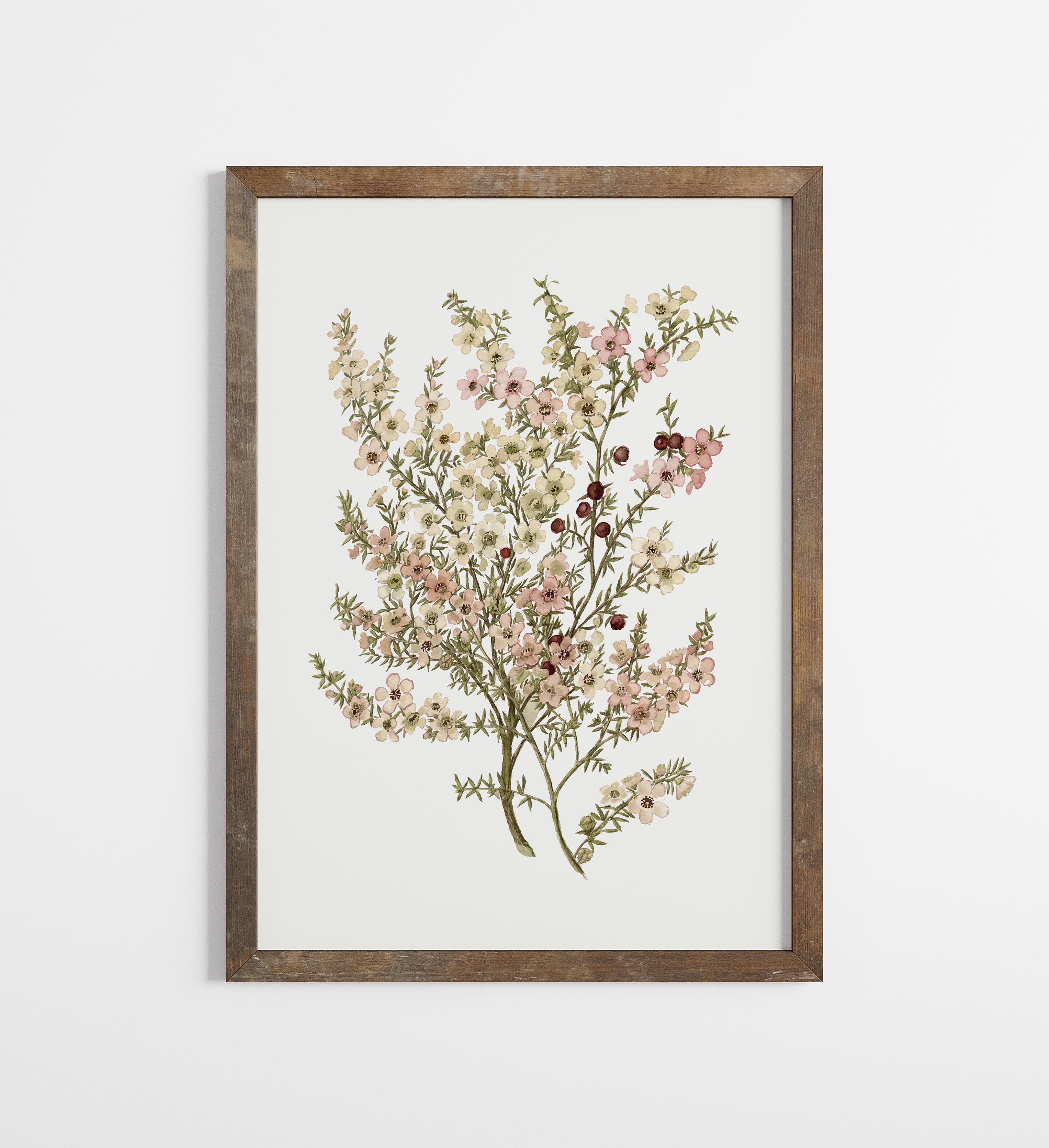 Vintage Botanical Prints Set of SIX: Neutral Floral Gallery Wall ...