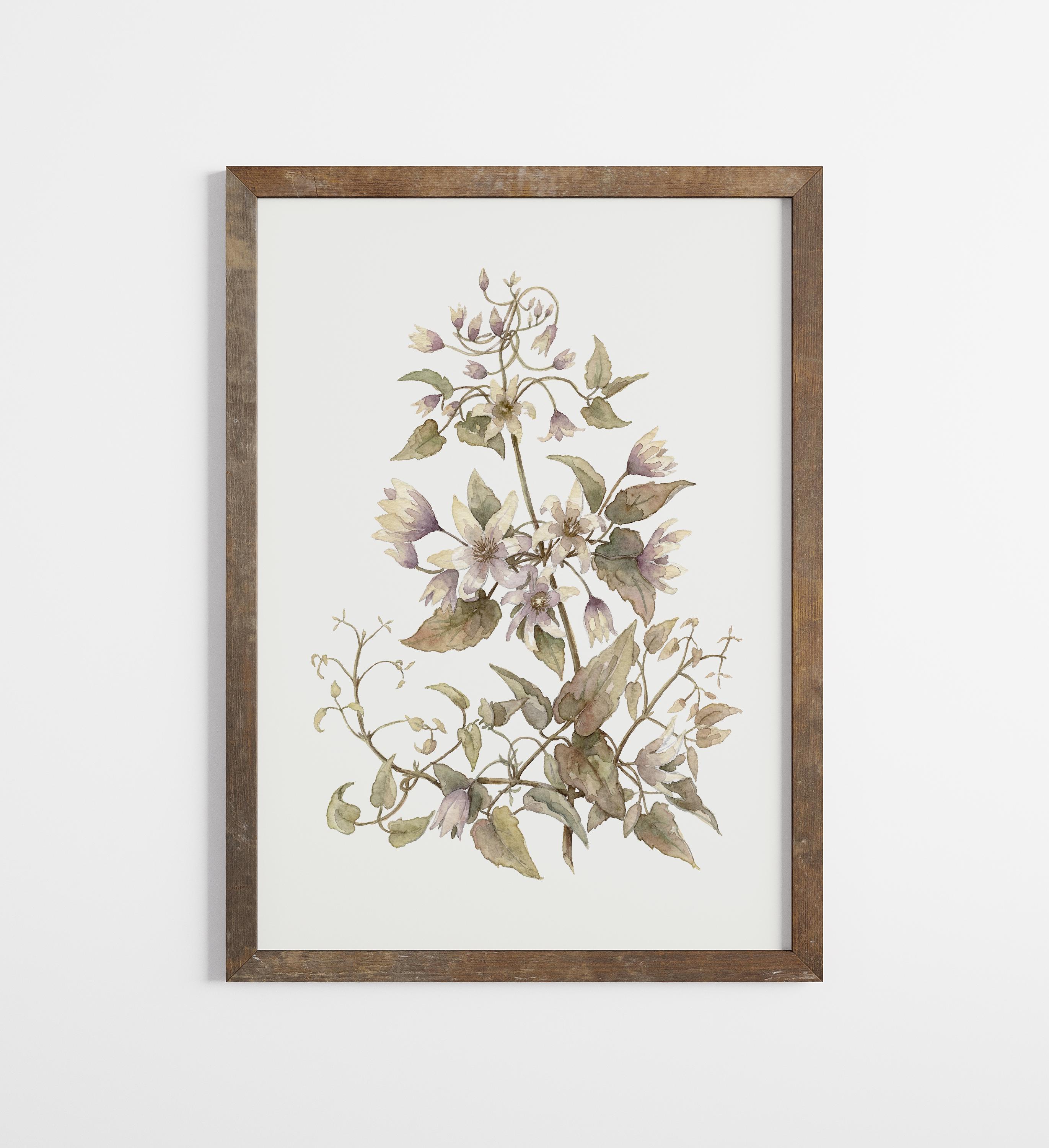 Vintage Botanical Prints Set of SIX: Neutral Floral Gallery Wall ...
