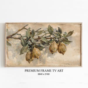 Könnte beinhalten: Gerahmter Kunstdruck eines Aquarells mit einem Zitronenzweig. Die Zitronen sind gelb und braun, mit grünen Blättern. Der Hintergrund ist hellbeige. Der Text "PREMIUM FRAME TV ART" und die Abmessungen stehen unten.