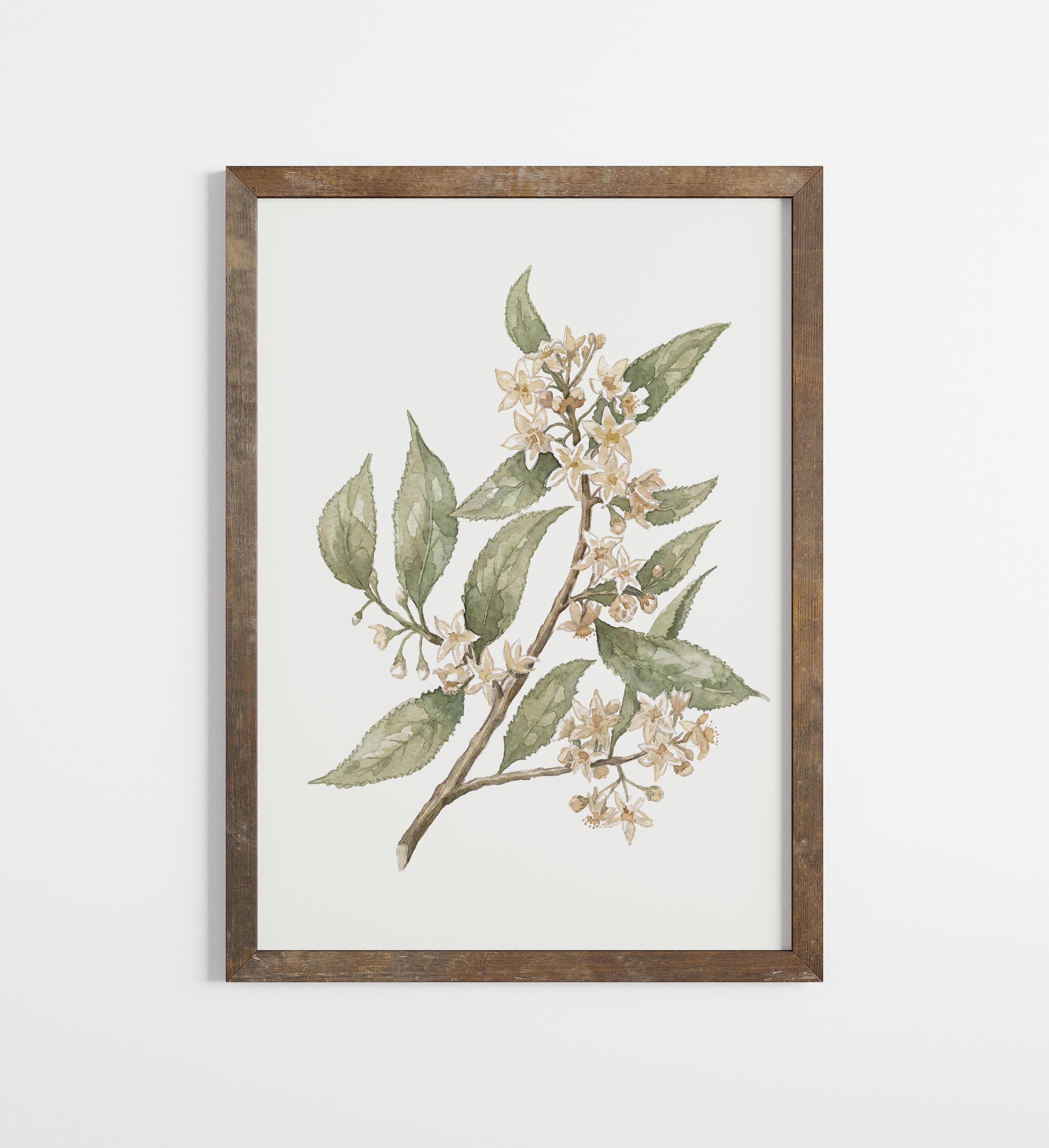 Vintage Botanical Prints Set of SIX: Neutral Floral Gallery Wall ...