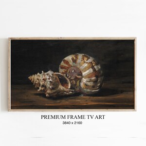 Könnte beinhalten: Ein Stillleben-Gemälde mit zwei Muscheln. Eine ist eine große, gestreifte Nautilusmuschel, die andere eine kleinere, spitz zulaufende Muschel. Das Kunstwerk ist vor einem dunklen Hintergrund, mit dem Text "PREMIUM FRAME TV ART" und Abmessungen.