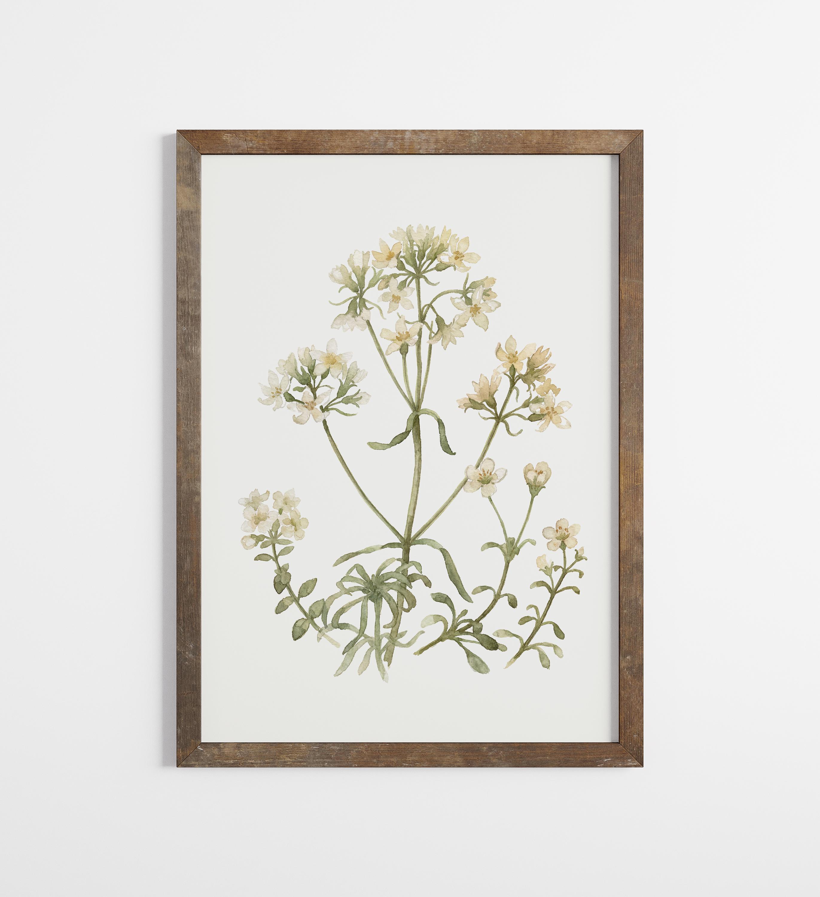 Vintage Botanical Prints Set of SIX: Neutral Floral Gallery Wall ...