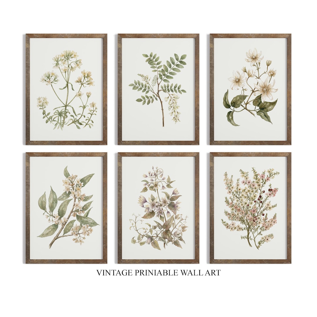 Vintage Botanical Prints Set of SIX: Neutral Floral Gallery Wall ...