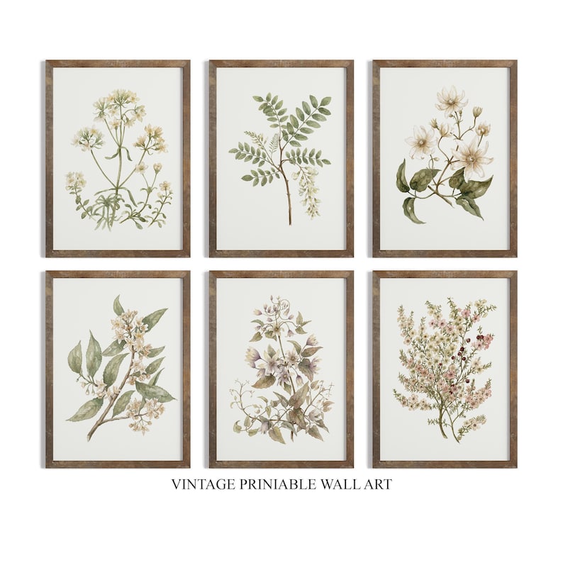 Vintage Botanical Prints Set of SIX: Neutral Floral Gallery Wall ...