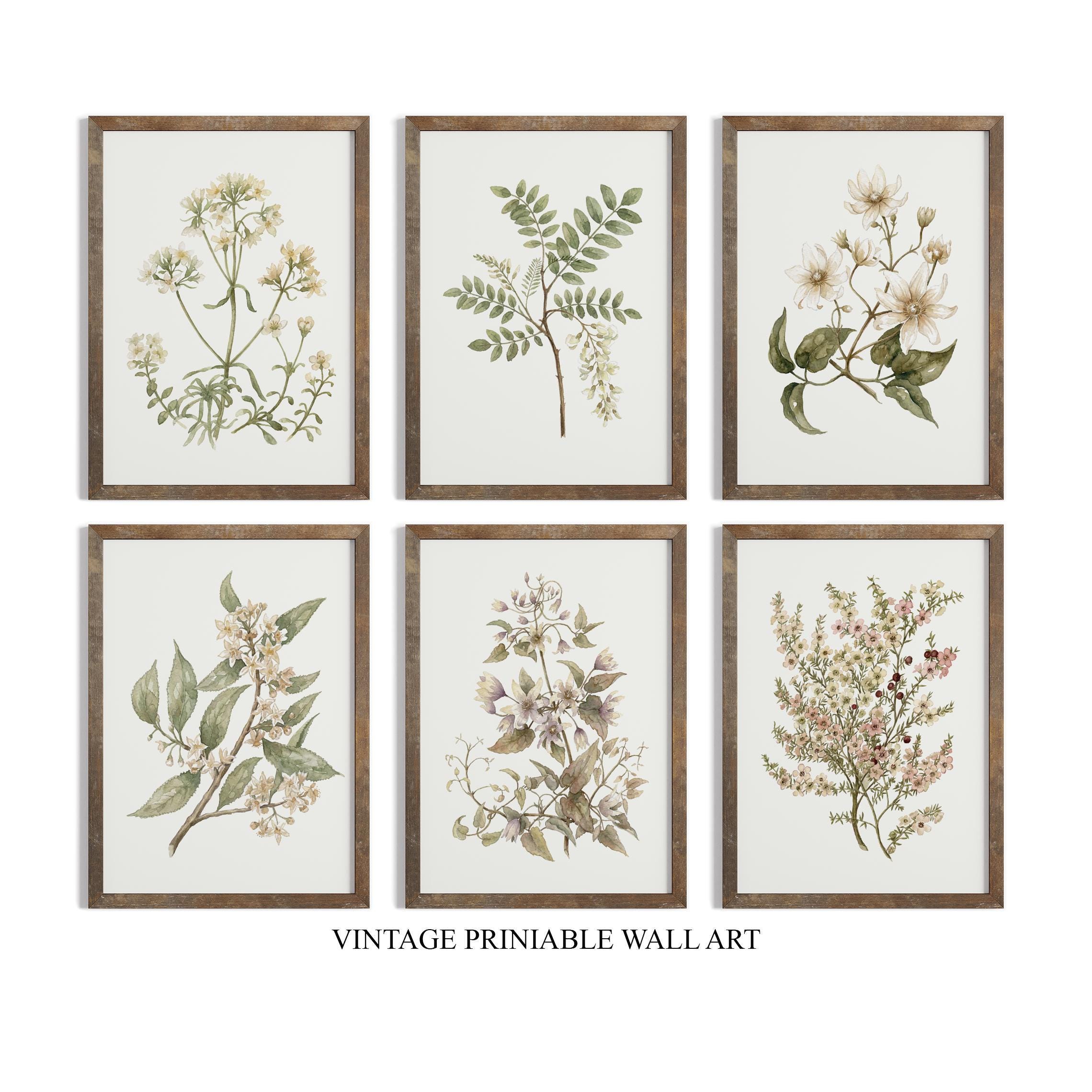Vintage Botanical Prints Set of SIX: Neutral Floral Gallery Wall ...