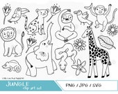 Jungle illustrations - Cute Fun Hand Illustrated Digital Clipart Graphics, SVG, PNG, JPG