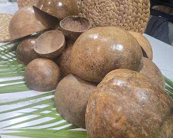 May include: A collection of brown, dried, hollowed-out gourd bowls arranged in a cluster. The gourds have smooth, rounded, and textured surfaces with varying shades of tan and brown, resting atop long, thin, green palm-like leaves.