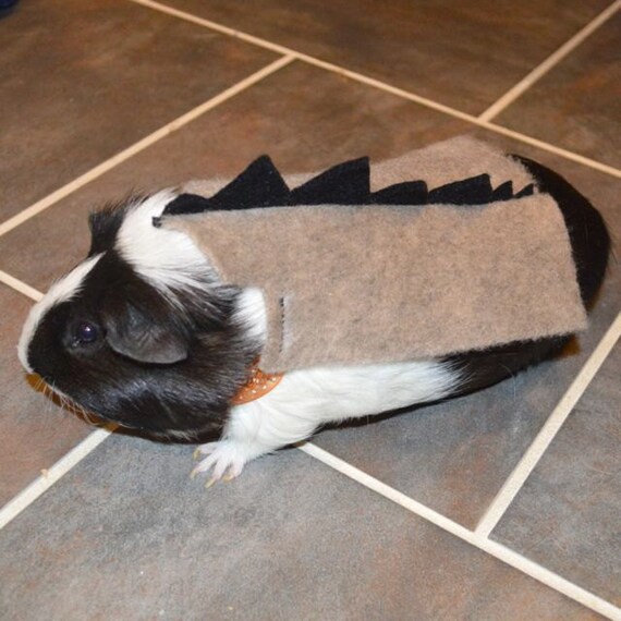 Items similar to Guinea pig dinosaur. Pet Halloween costumes by la