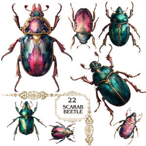 Puede incluir: Ilustración digital de escarabajos en tonos turquesa, rosa y dorado. La imagen incluye un marco decorativo con el texto "22 SCARAB BEETLE" y detalles dorados ornamentados. Los escarabajos están representados con detalle.