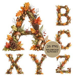 May include: A collection of 26 letters forming an alphabet, each constructed from intertwined twigs, autumn leaves, pinecones, acorns, ferns, and mushrooms in shades of orange, brown, green, and red. A circular badge displays 26 PNG WILDWOOD ALPHABET.