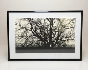 Original Signed Darry Melton Framed Photography | Fine Art B&W Winter Tree Landscape Print | Michigan Photographer