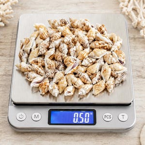 May include: A collection of small, tan and brown patterned sea shells piled on a silver digital kitchen scale. The scale features a blue backlit LCD screen displaying a weight of 0.50 lb, along with circular control buttons labeled power, M, PCS, and T.