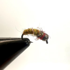 Può includere: Una mosca da pesca fatta a mano con un amo scuro e un corpo di fili colorati avvolti. La mosca ha una testa scura e una fascia rossa vicino alla testa. La mosca è progettata per imitare un insetto per la pesca a mosca.