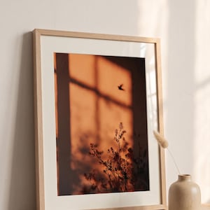 Könnte beinhalten: Ein gerahmter Kunstdruck mit einem warmen Orangeton, der einen Fensterschatten und die Silhouette eines Vogels zeigt. Der Druck befindet sich in einem hellen Holzrahmen mit einem beigen Passepartout. Eine kleine beige Vase mit einer getrockneten Pflanze steht auf einer Holzoberfläche.