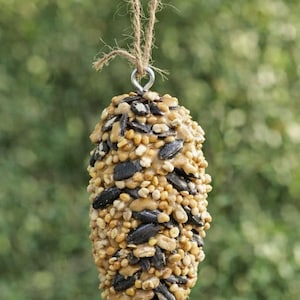 DIY Mini Pinecone Bird Feeder Kit – Nature Learning Project