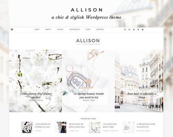 NEW Wordpress Theme - Wordpress Ecommerce Theme - Fashion Blogger Theme - Genesis Theme - "Allison" Instant Digital Download