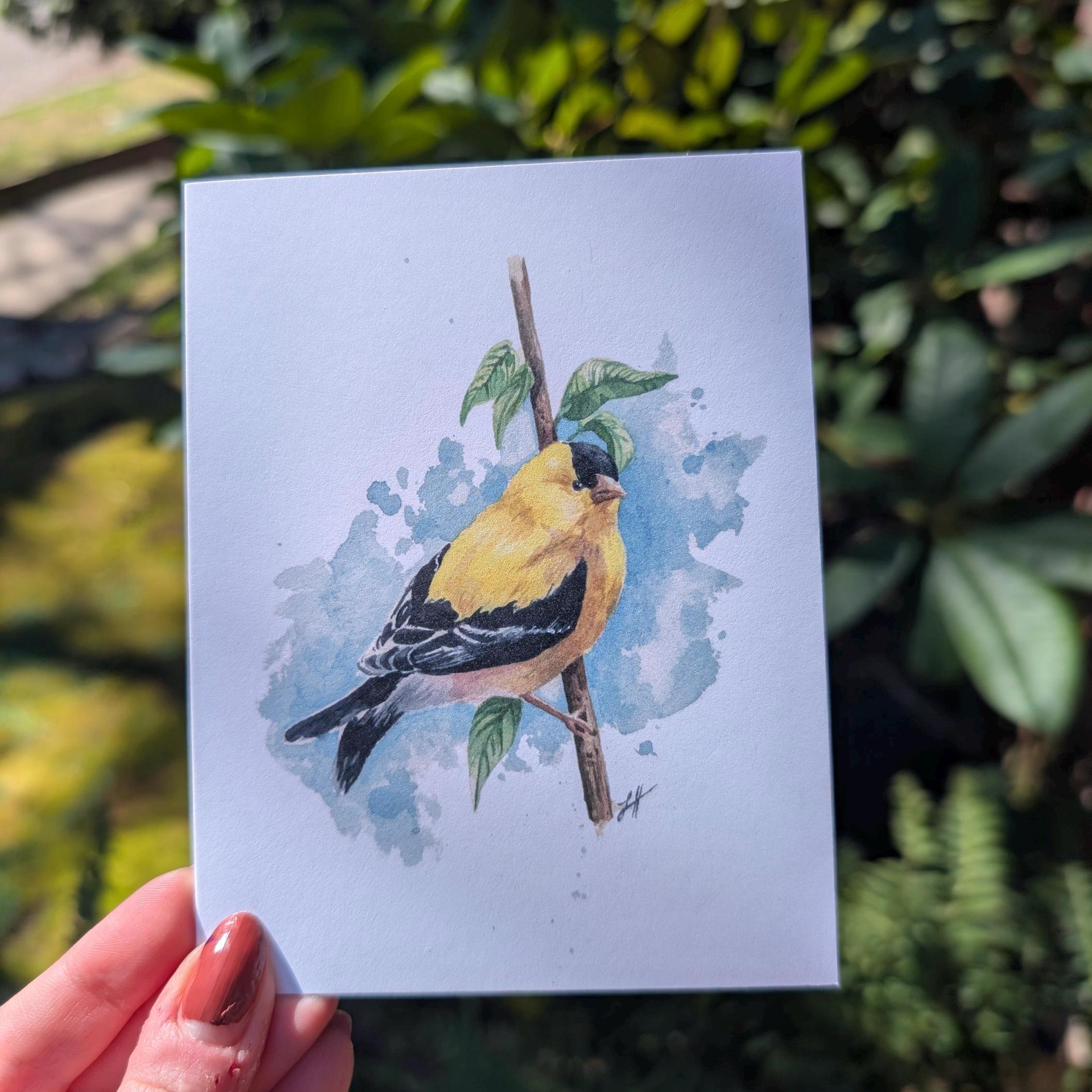 Watercolor Birds Assortment Greeting Card Set - Etsy