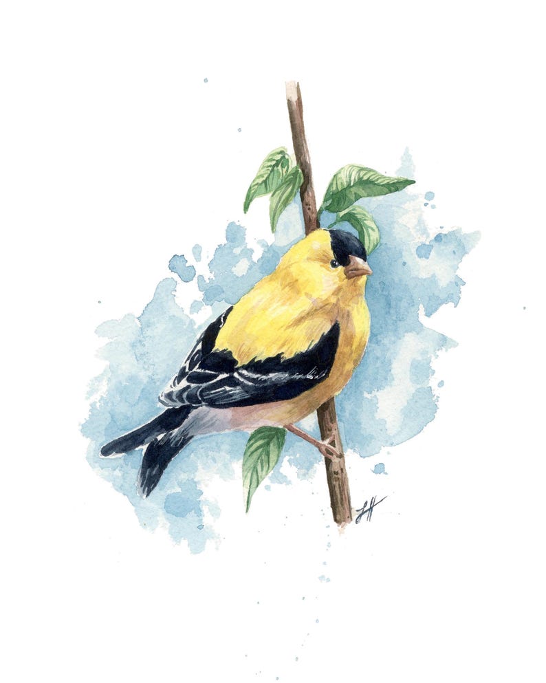 Watercolor Goldfinch Original Art Print - Etsy