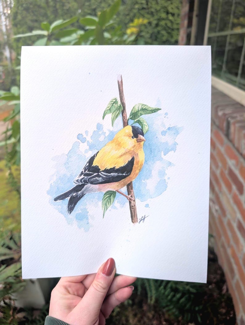Watercolor Goldfinch Original Art Print - Etsy