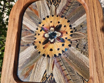 Arte com penas de faisão selvagem, moldura de madeira 10x8 com vidro.
