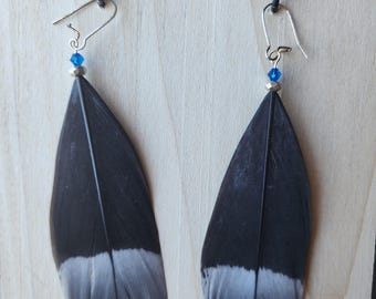 Sterling Silver earrings with Wild Grouse Feathers and Swarvoski Crystals