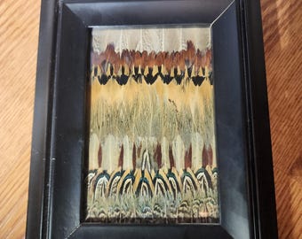 Pheasant Feather Art Picture Frame 6x4 with Glass