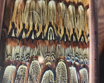 Pheasant Feather Art Picture Frame 6x4 with Glass
