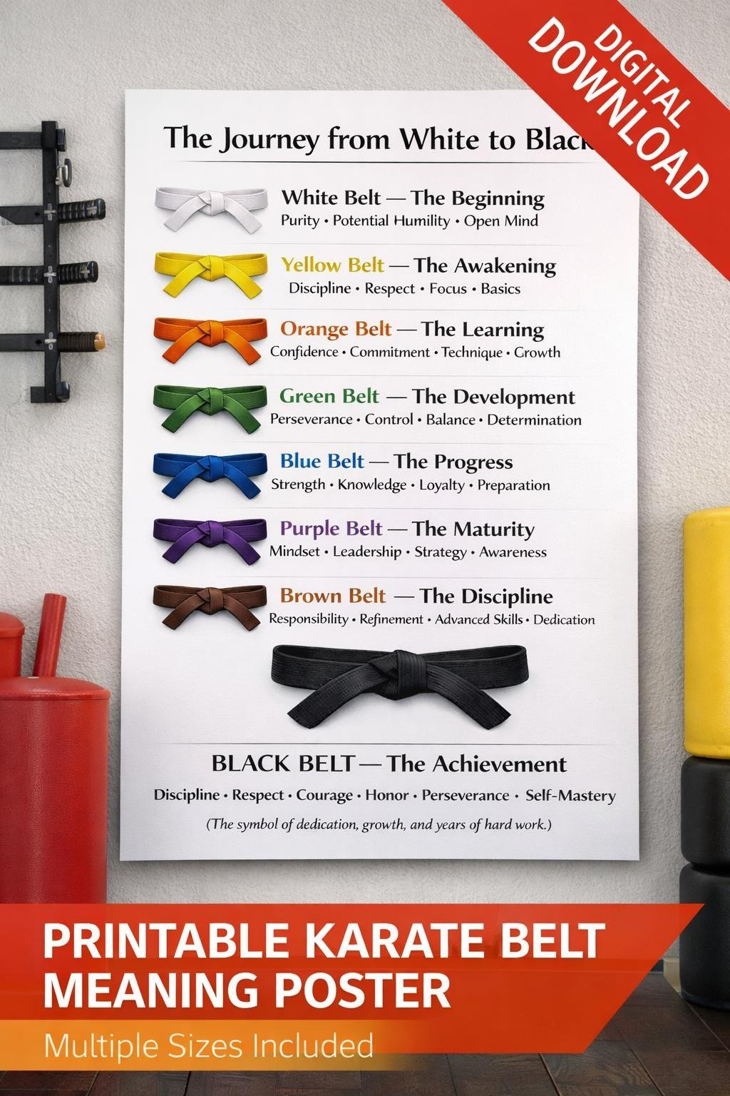 Karate Belt Meaning Poster | Martial Arts Journey Wall Art (digital ...