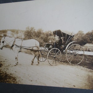 Horse and Buggy Vintage photograph.