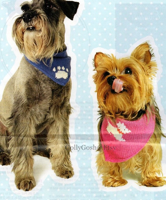 scarf for a dog
