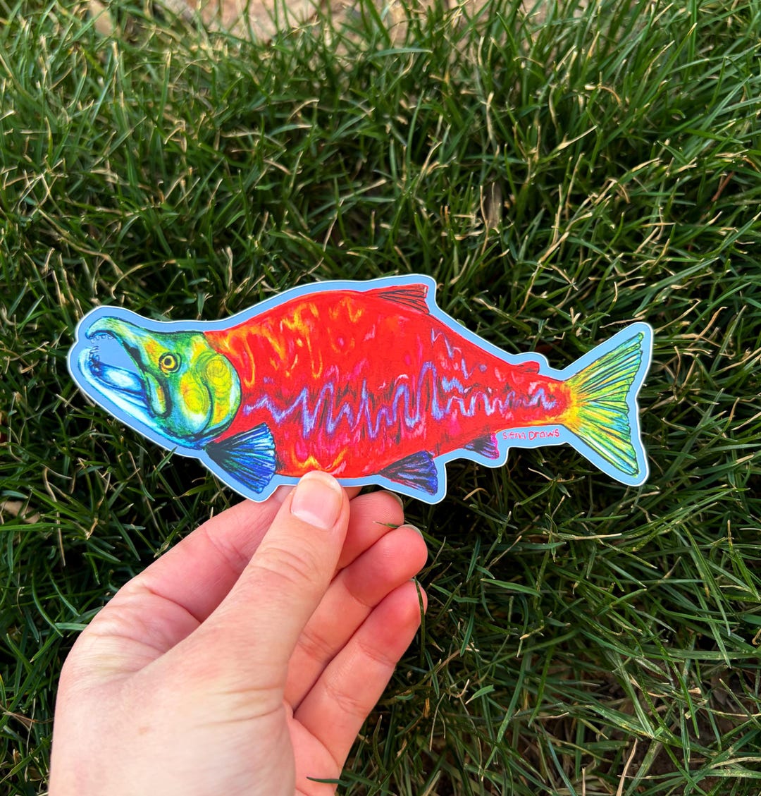 Sockeye Salmon Sticker - Etsy