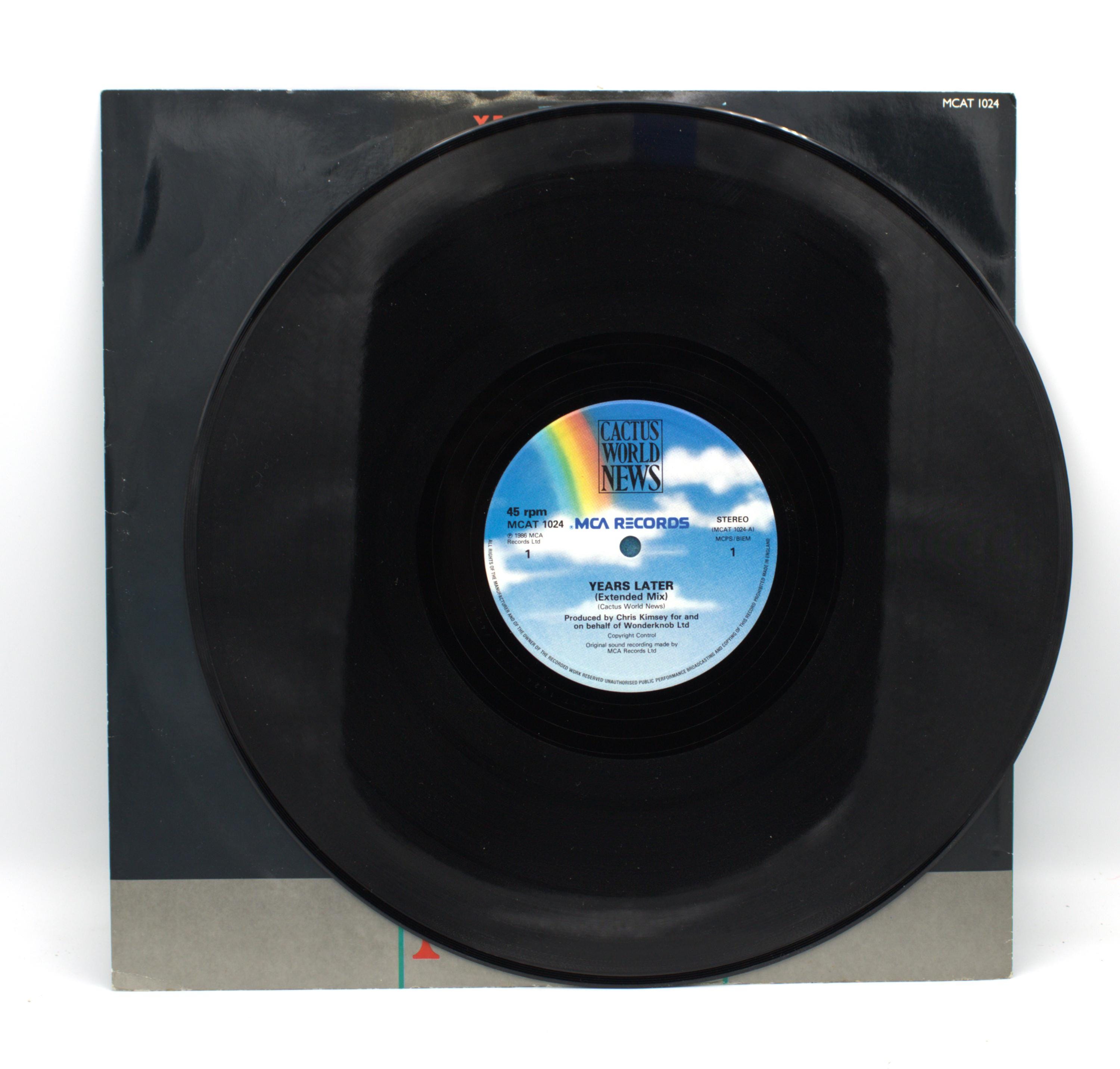 洋楽 This Time / Phase 7 / 1985 Shell Records Vintage 1980s Vinyl Cactus World News 12