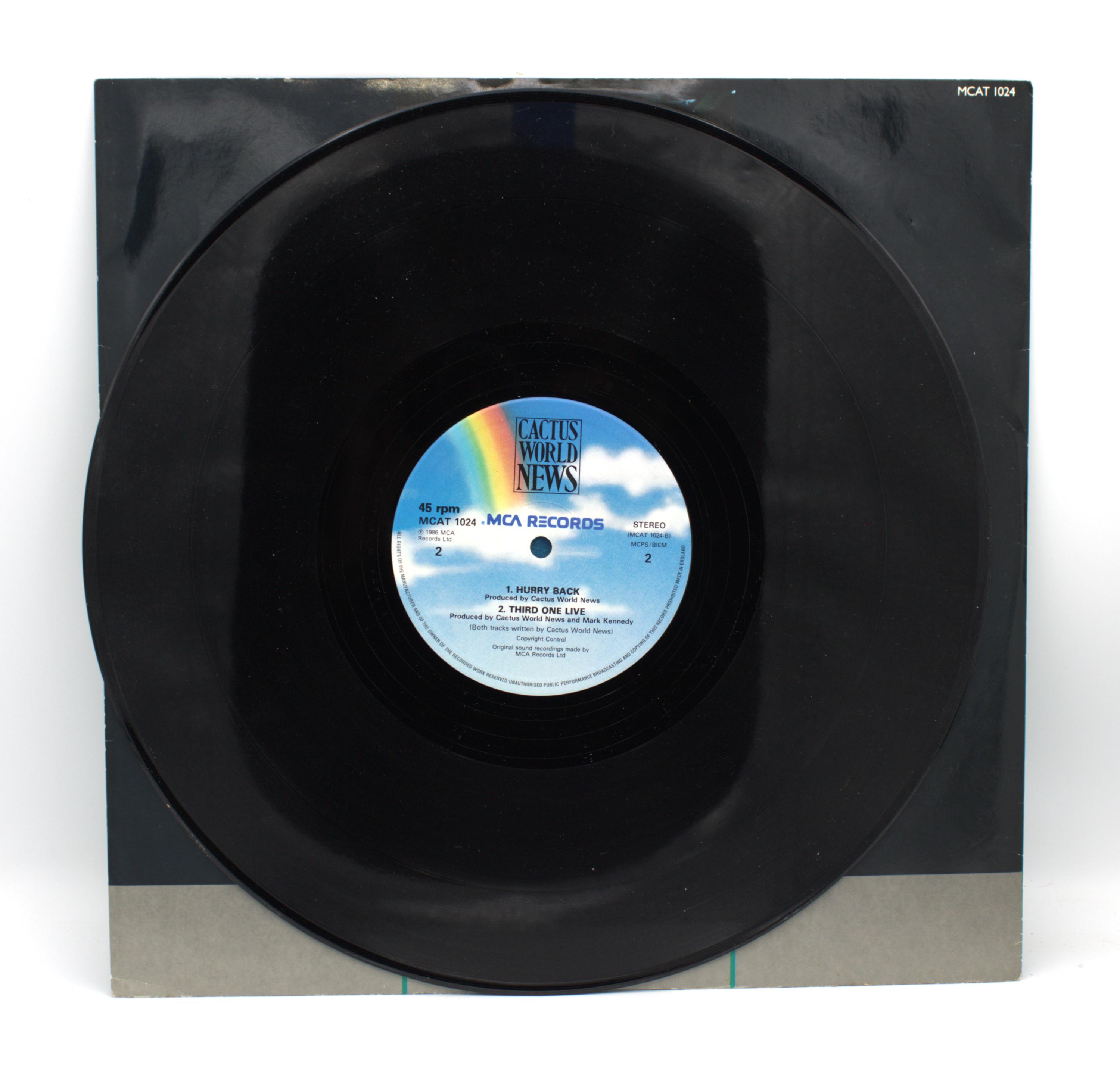Vintage 1980s Vinyl Cactus World News 12
