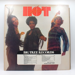 Vintage 1970s Vinyl HOT funk soul disco pop 12&quot; Stereo LP Big Tree Records 1977 Promo