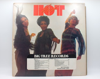 Vintage 1970s Vinyl HOT funk soul disco pop 12" Stereo LP Big Tree Records 1977 Promo