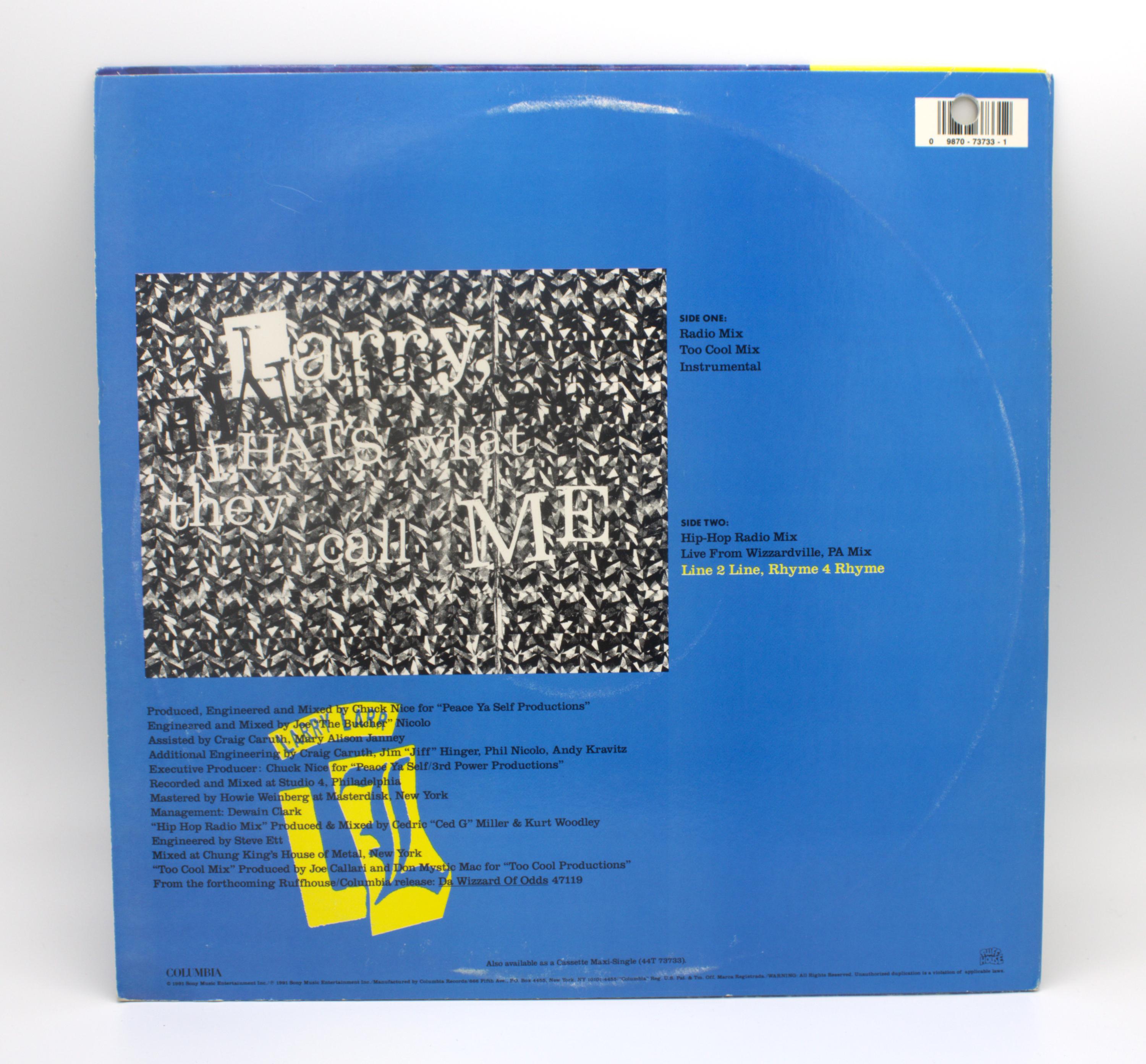 Vintage 90s Vinyl Larry Larr 1991 Thats What They Call Me Single