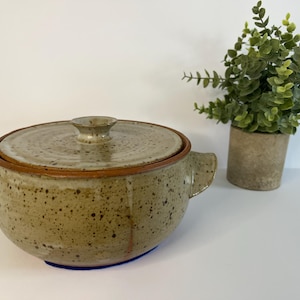 May include: A speckled, tan ceramic casserole dish with a lid and two handles. The lid has a small knob and a brown rim. A small potted plant with green leaves sits to the right of the dish.