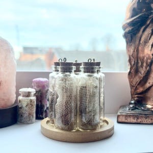 May include: A collection of decorative items on a windowsill. Includes a pink Himalayan salt lamp, glass jars with cork stoppers, a bronze statue, and a white decorative piece. The jars contain snake skin.