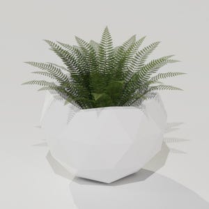 Könnte beinhalten: Ein grüner Farn in einem weißen geometrischen Pflanzgefäß. Die Pflanze hat viele kleine, zarte Blätter. Der Pflanztopf ist ein modernes Design mit einer facettierten Oberfläche. Pflanze und Pflanzgefäß sind vor einem weißen Hintergrund platziert.
