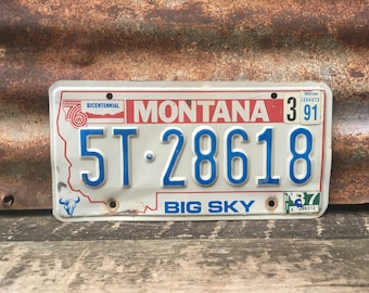 BRGiftShop Personalized Custom School Best Teacher Ever Gift Car Vehicle 6x12 License Plate Auto Tag