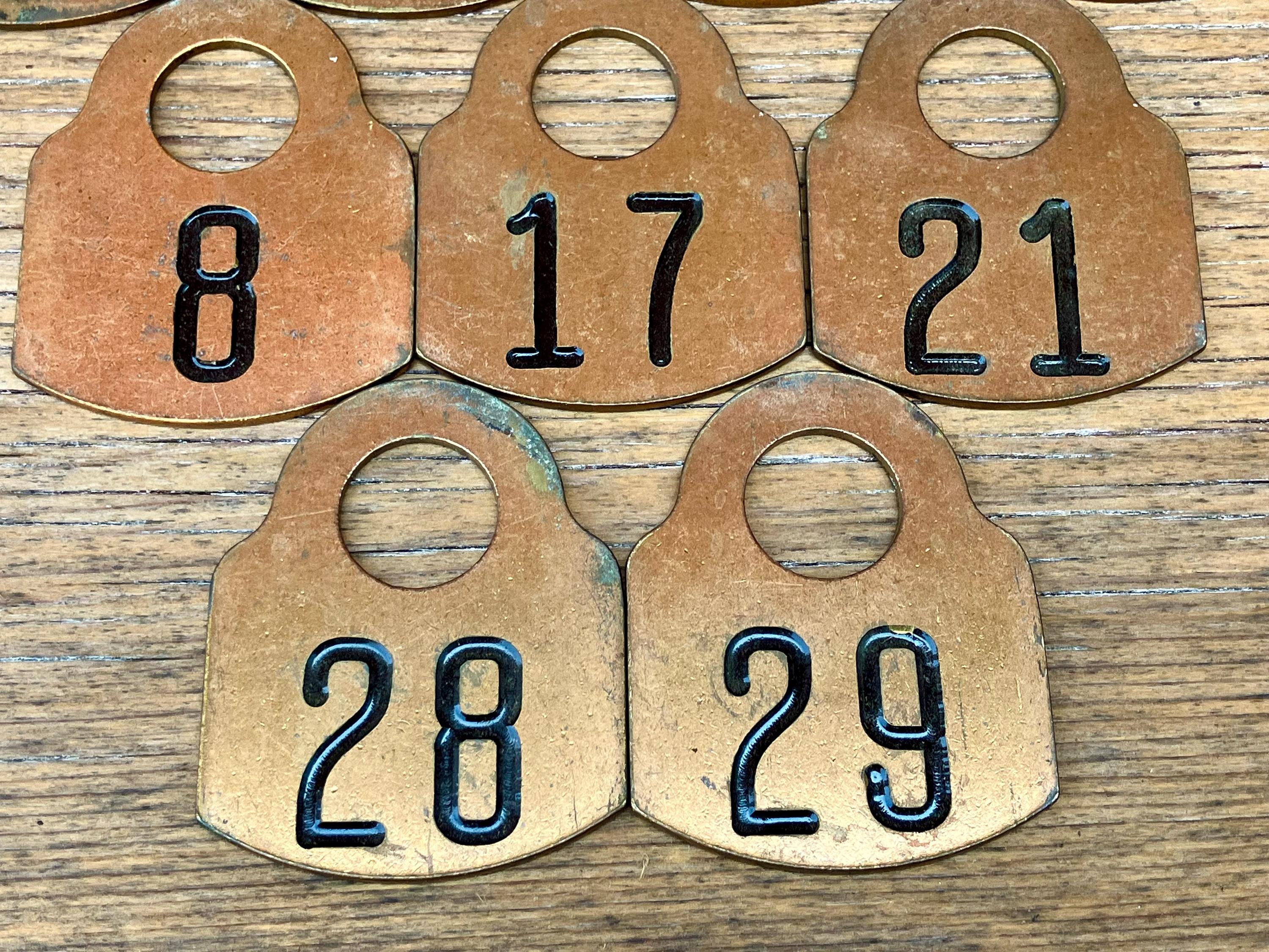Choice of Brass Cattle Tag Numbers 2, 4, 5, 6, 8, 17, 21, 28, 29 ...