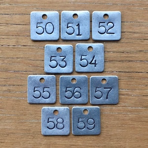 May include: Ten silver metal tags with rounded corners and a hole at the top. The tags are numbered 50 through 59.