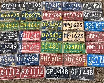 Choice of Michigan License Plate 1979, 1973, 1965, 1971, 1959, 1967, 1966, 1976, 1968, 1969, 1981, 1974, 1975, 1972, 1986 A1