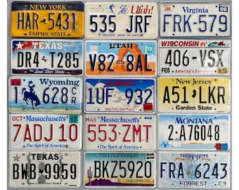 Choice of License Plate New York, Texas, Wyoming, Massachusetts, Utah, South Dakota, Arizona, Virginia, Wisconsin, New Jersey, Montana, O1