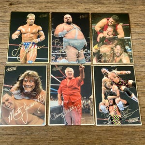 Choice of Wrestling Cards Lex Luger, Bastion Booger, Quebecers, Jannetty,  Blassie, Steiner Brothers Action Packed Trading Cards 1994 WWE